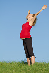 Image showing pregnant woman on meadow