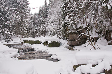 Image showing frozen stream