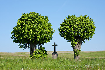 Image showing cross in the field