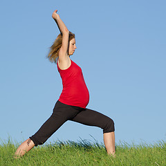 Image showing pregnant woman on meadow