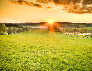 Image showing beautiful meadow during sunset