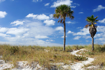 Image showing Coastal Path