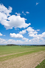 Image showing green field