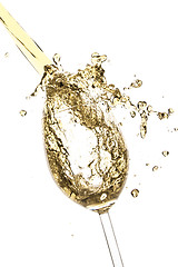 Image showing white wine splash