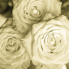 Image showing rose bouquet