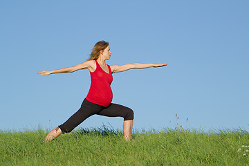 Image showing pregnant woman on meadow