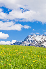 Image showing alpine landscape