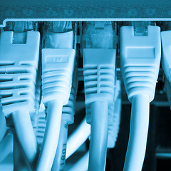 Image showing network cables