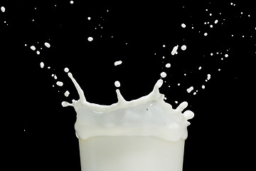 Image showing milk splash