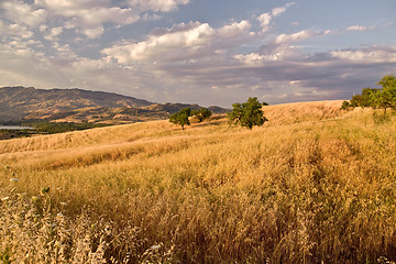 Image showing typical sicilian landscape