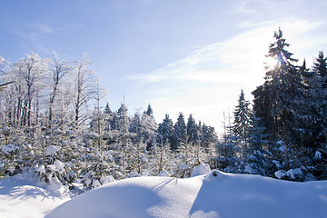 Image showing fresh snow in the mountains