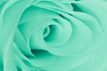 Image showing green rose close up