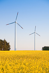 Image showing windmill  farm in the rape field