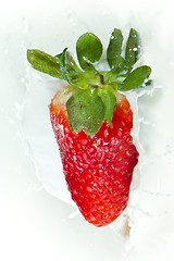 Image showing strawberry splashing into milk