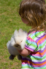 Image showing A Pet Bunny