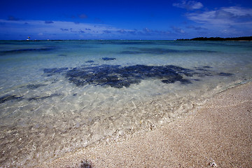 Image showing beach  in ile du cerfs mauritius
