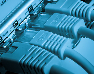 Image showing network cables