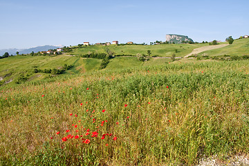 Image showing Typical Tuscan landscape