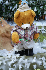 Image showing Teddybear fishing