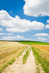 Image showing agriculture landscape