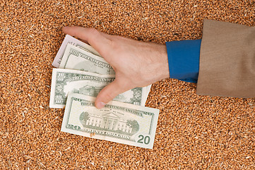 Image showing Monetary crop