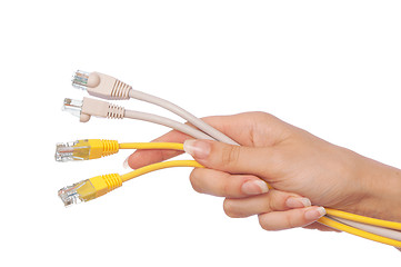 Image showing LAN cords