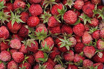 Image showing Strawberry