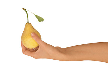 Image showing yellow pear