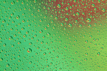 Image showing Water drops