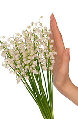 Image showing lily of the valley