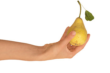 Image showing yellow pear