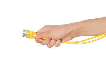 Image showing LAN cords