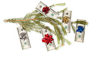 Image showing Dollars on fir tree