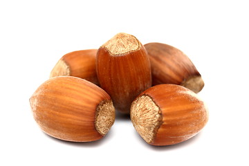 Image showing hazelnuts isolated on white background