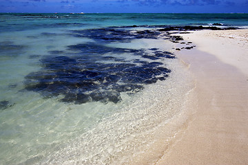 Image showing ile du cerfs