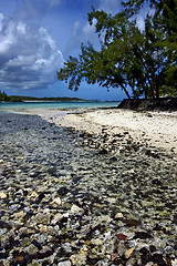 Image showing ile du cerfs