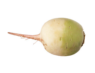 Image showing Fresh radish