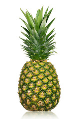 Image showing Pineapple