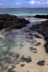 Image showing beach rock in  mauritius