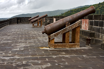 Image showing the fortification and cannons 