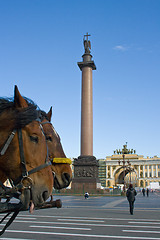 Image showing Horses on Palace Square and Alexander Column. St. Petersburg. Russia.