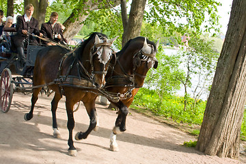 Image showing Walk through the park on horseback.