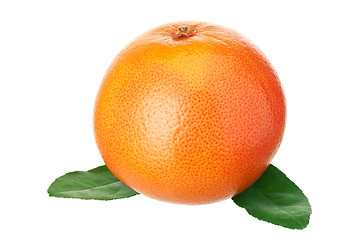 Image showing Ripe grapefruit