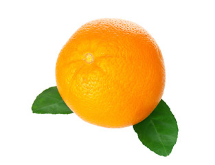 Image showing Ripe orange