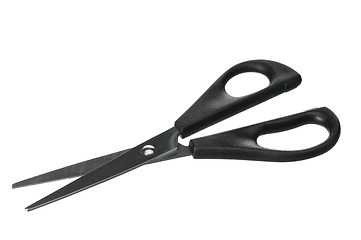 Image showing Handled scissors