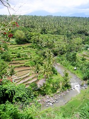 Image showing Bali