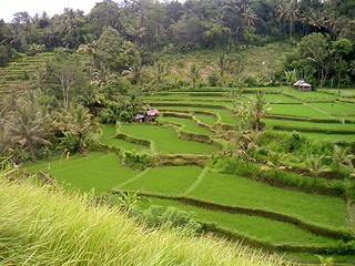 Image showing Indonesia