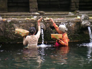 Image showing Ubud