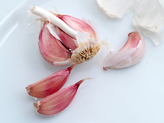 Image showing Garlic Bulb