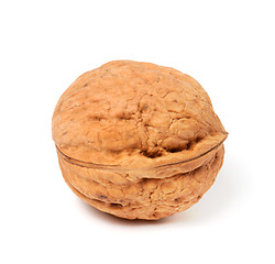 Image showing Walnut on white background. Close-up view.